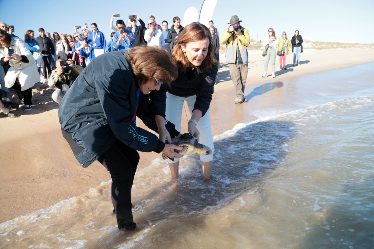 La alcaldesa de Valencia, María José Catalá, asiste a la suelta de tortuga en la Playa de El Saler junto a la doctora Sylvia Earle.
